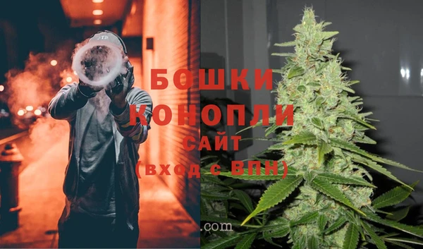 гашик Россошь