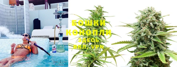 гашик Россошь